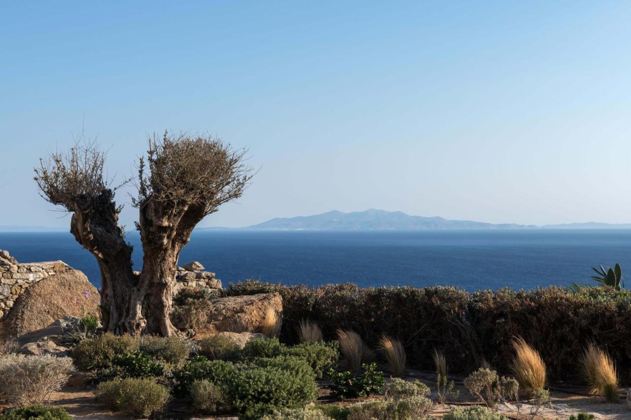 Ava Mykonos Mykonos Town
