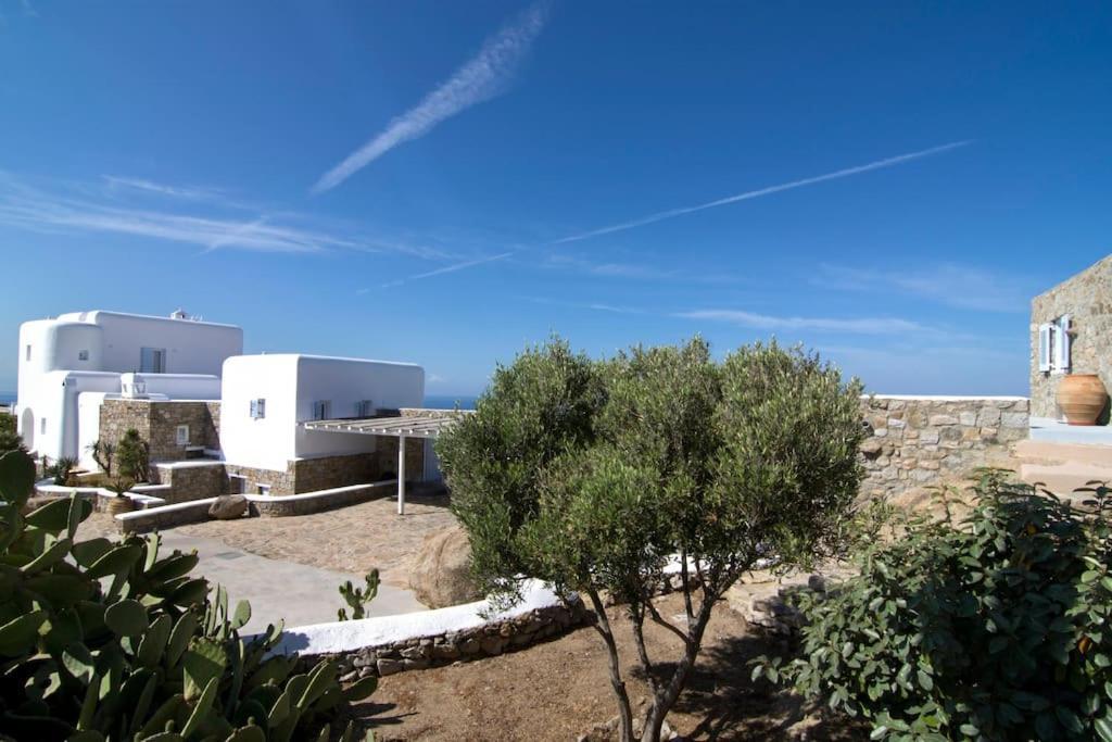 Ava Mykonos Villa
