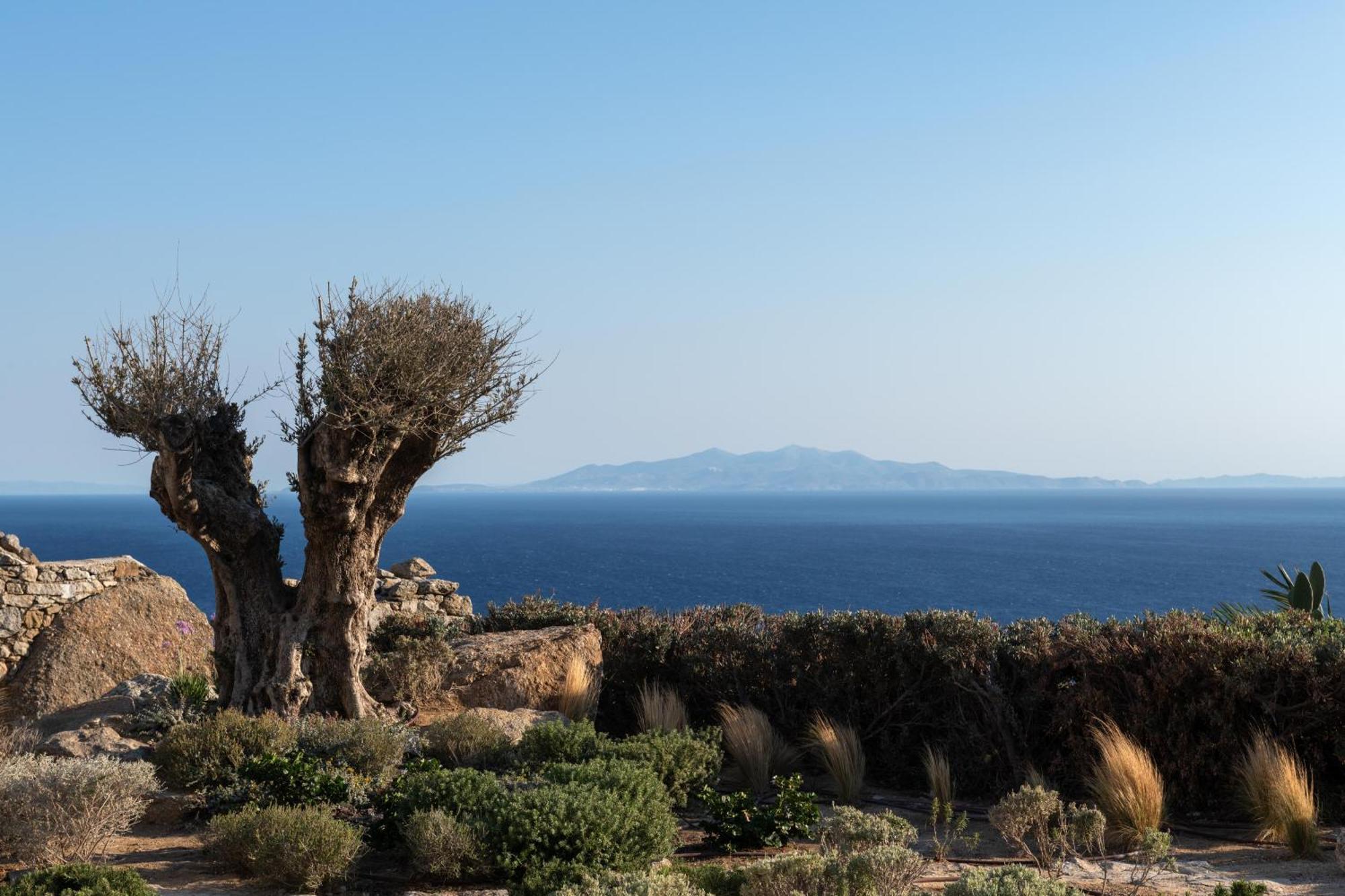 Villa Ava Mykonos